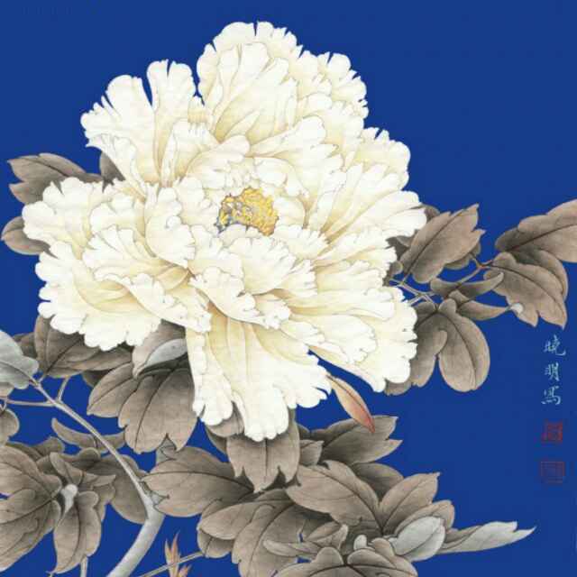 陈姝