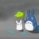 用户头像: