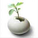 广东东莞招地坪/自流平/固化