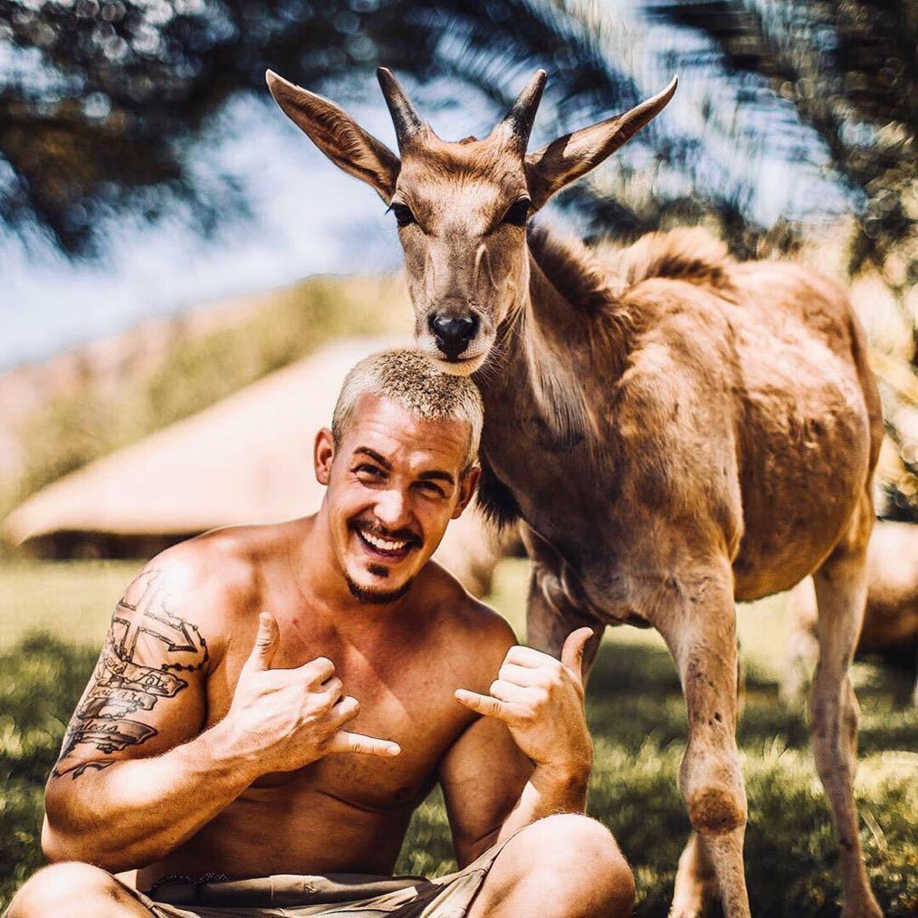 人间正道是沧桑