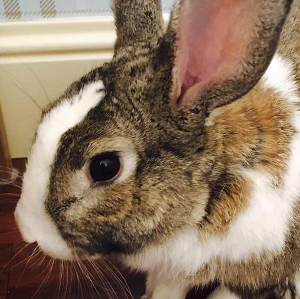 哈哈国际（NO-敏感ci）