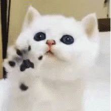 OoOoo