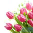 崇左江州区濑湍镇板兰村大卜屯，招砍甘蔗工，按天180／天，按把3块5一把60斤，5把归一堆，有经验者优先，电