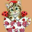头像