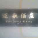 头条***288